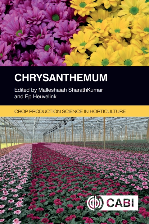 Cover image for book Chrysanthemum