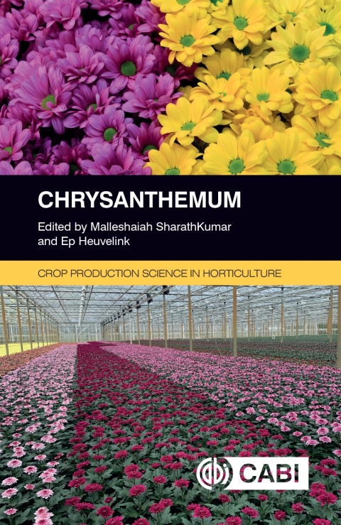 Cover image for book Chrysanthemum