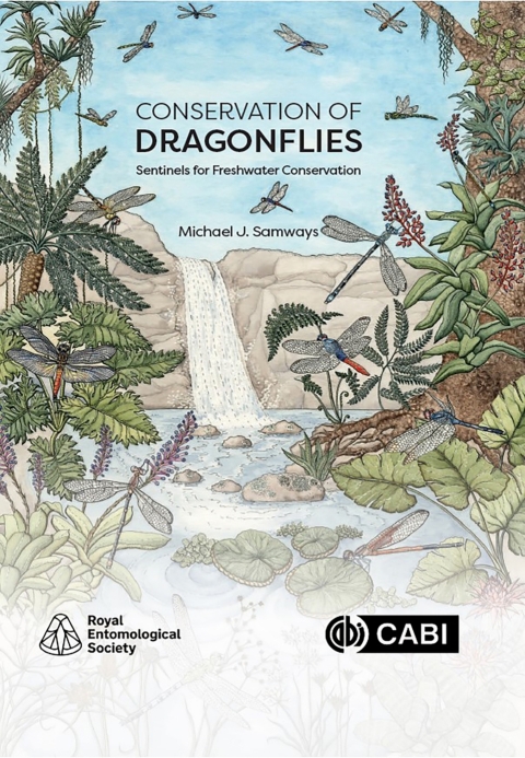 Cover image for book Conservation of Dragonflies