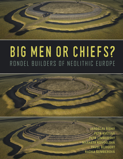 Cover image for book Big Men or Chiefs?