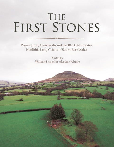 Cover image for book The First Stones
