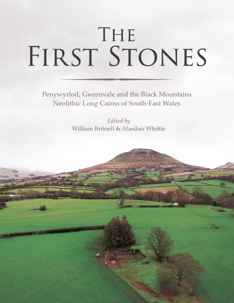 Cover image for book The First Stones