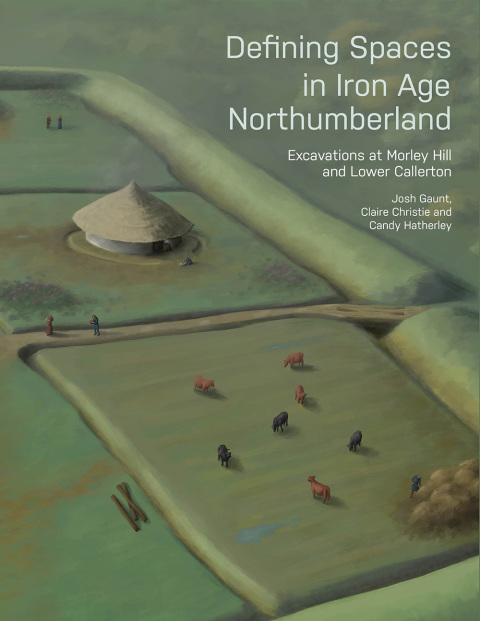 Cover image for book Defining Spaces in Iron Age Northumberland