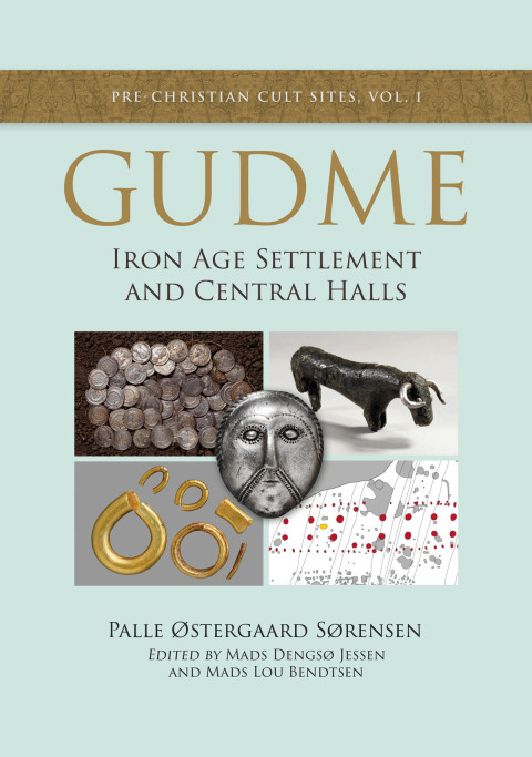 Cover image for book Gudme