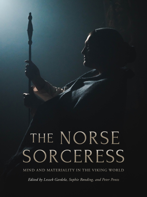 Cover image for book The Norse Sorceress