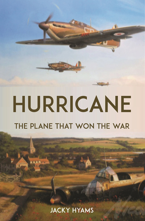 Cover image for book Hurricane