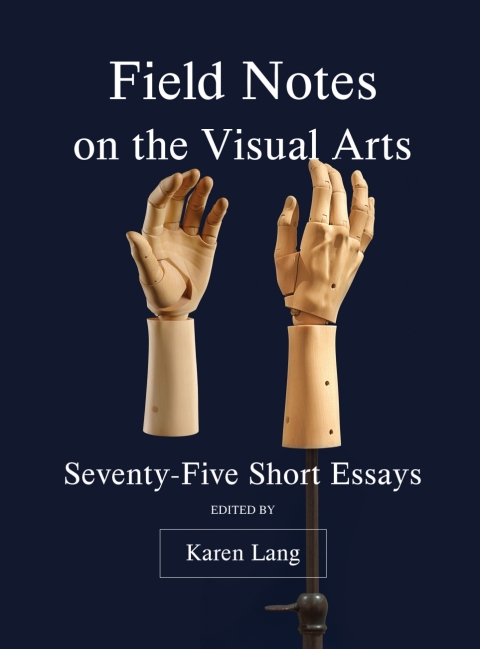 Cover image for book Field Notes on the Visual Arts