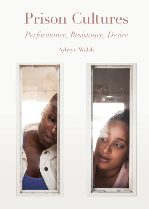 Cover image for book Prison Cultures