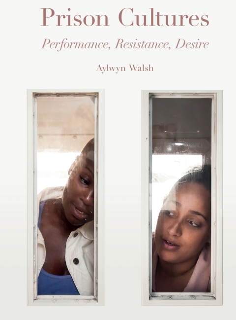 Cover image for book Prison Cultures