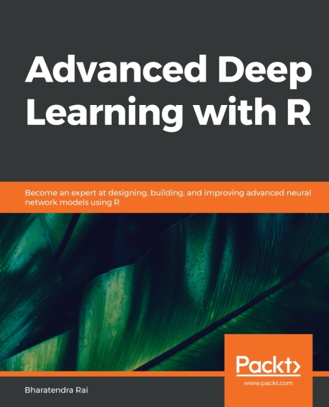 Cover image for book Advanced Deep Learning with R