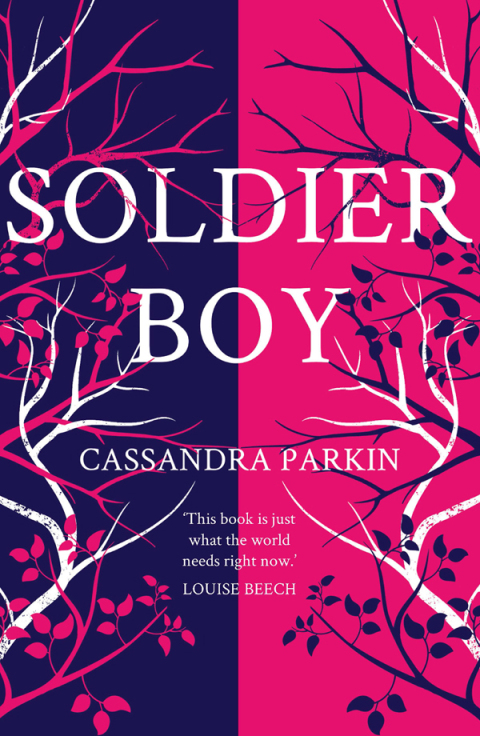 Cover image for book Soldier Boy