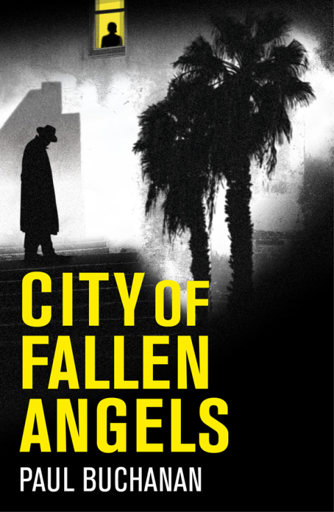 Cover image for book City of Fallen Angels
