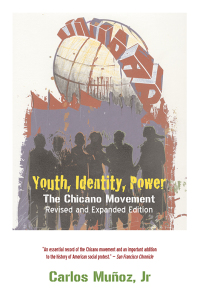Cover image: Youth, Identity, Power 9781844671427