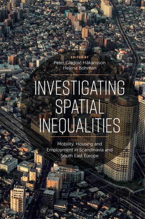Cover image for book Investigating Spatial Inequalities