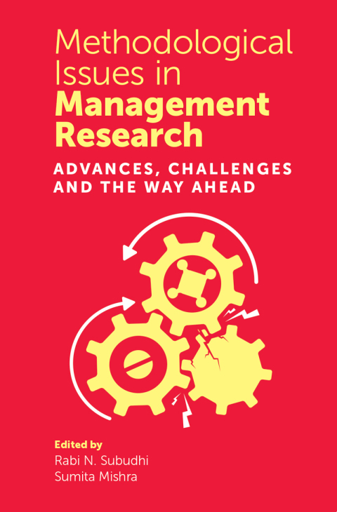 Cover image for book Methodological Issues in Management Research