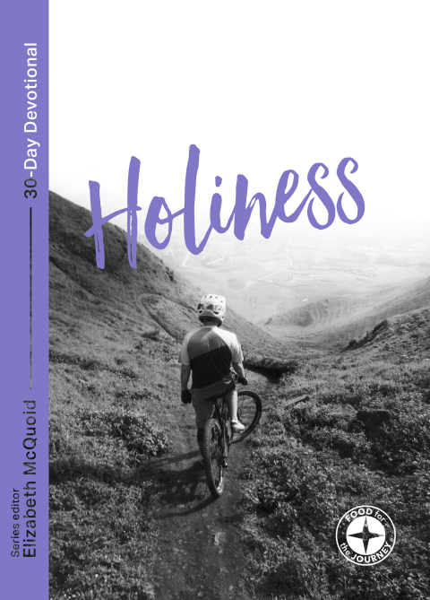 Cover image for book Holiness: Food for the Journey