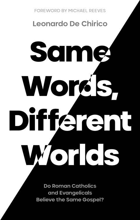 Cover image for book Same Words, Different Worlds