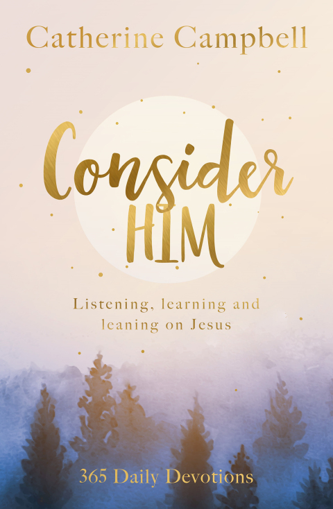 Cover image for book Consider Him