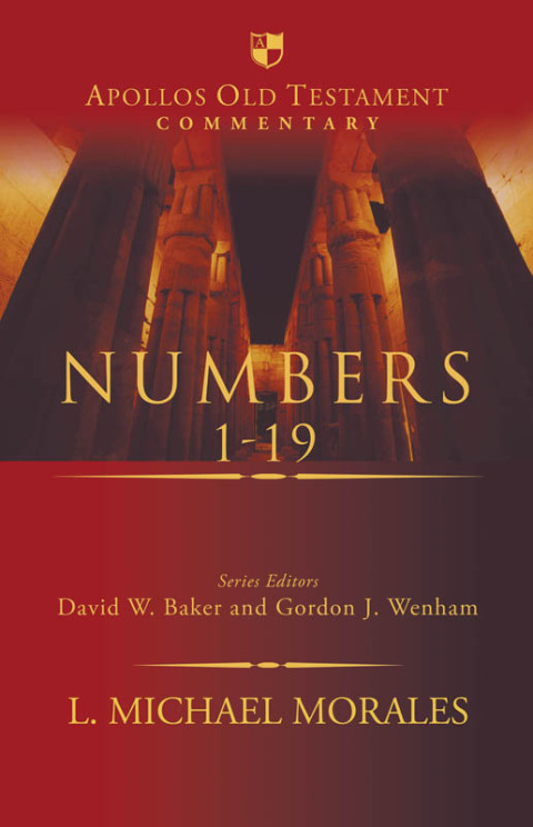 Cover image for book Numbers 1-19