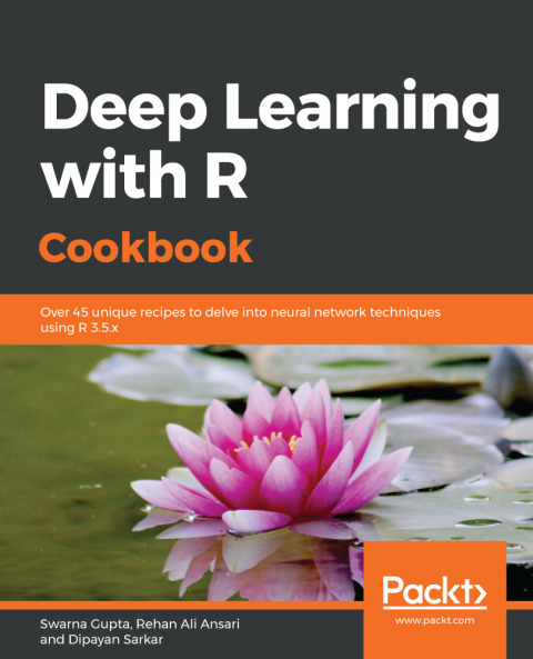 Cover image for book Deep Learning with R Cookbook
