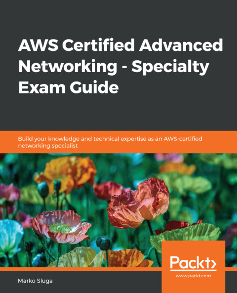 Cover image for book AWS Certified Advanced Networking - Specialty Exam Guide