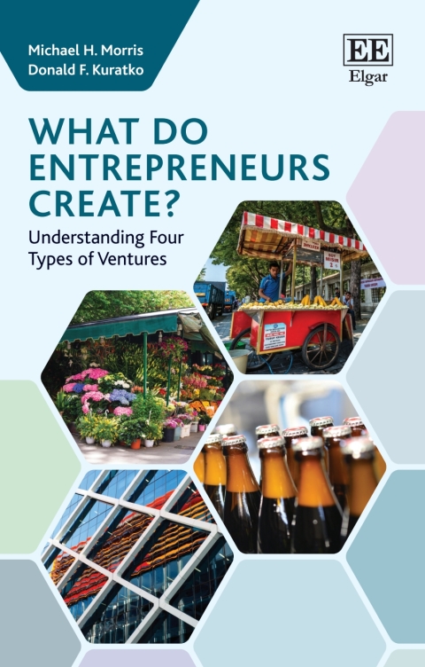 Cover image for book What do Entrepreneurs Create?