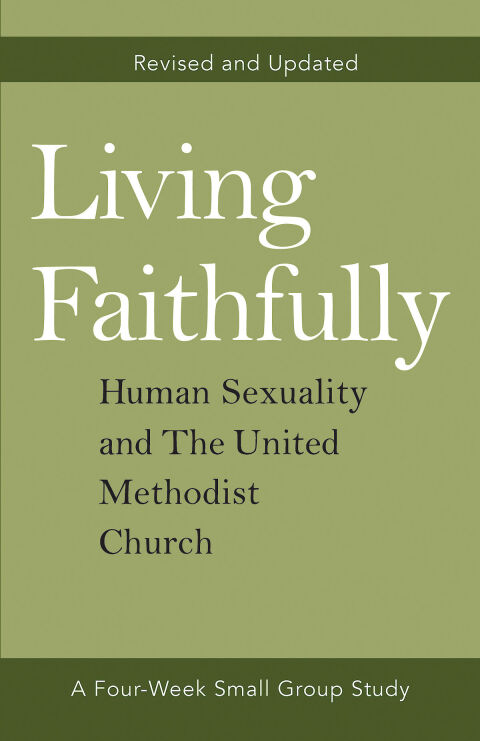 Cover image for book Living Faithfully Revised and Updated