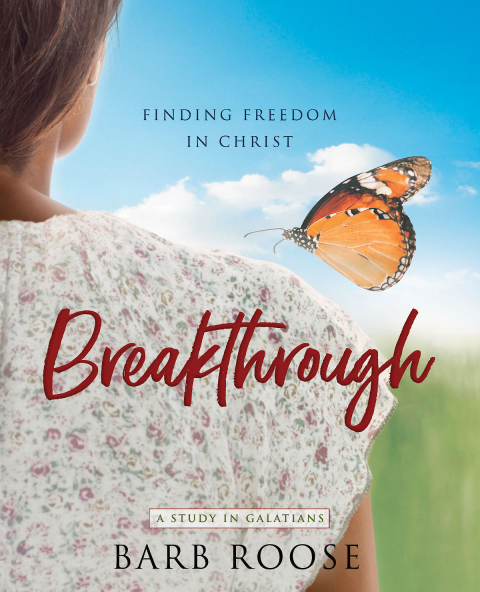 Cover image for book Breakthrough - Women's Bible Study Participant Workbook