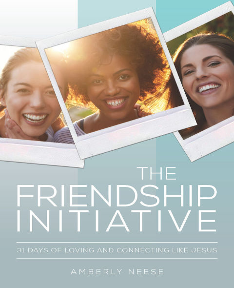 Cover image for book The Friendship Initiative