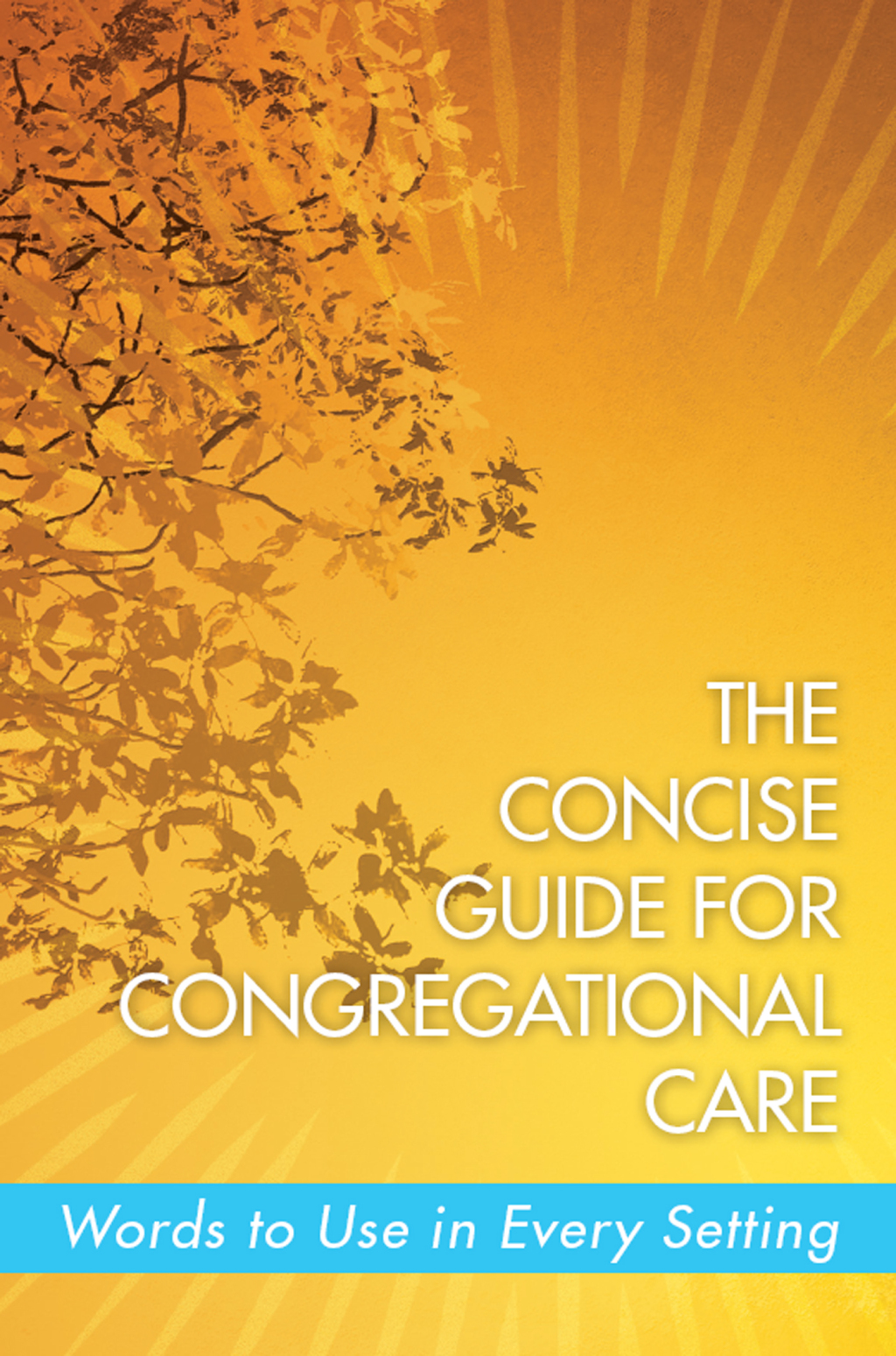 Reflowable The Concise Guide for Congregational Care; $17.75