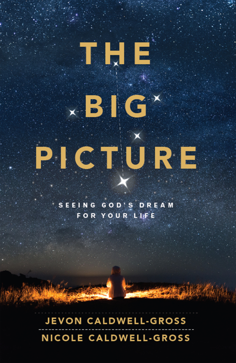 Cover image for book The Big Picture