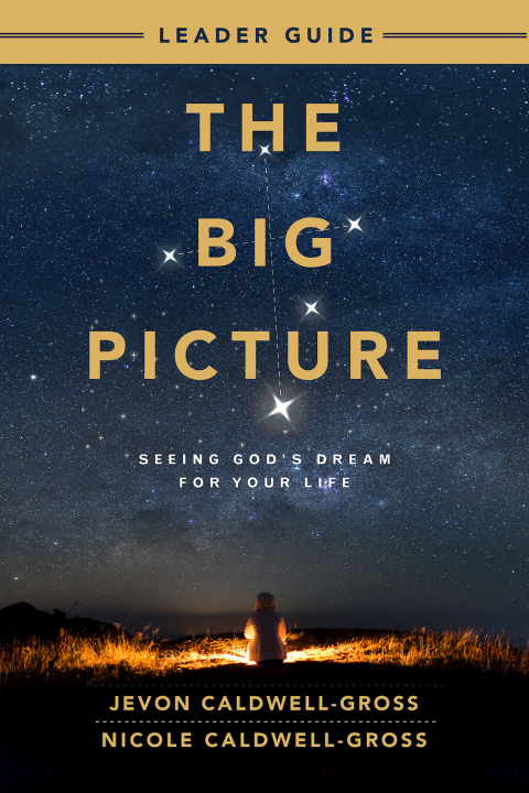 Cover image for book The Big Picture Leader Guide