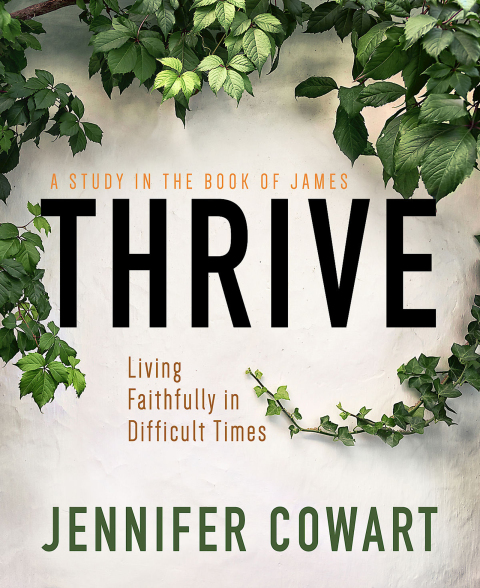 Cover image for book Thrive Women's Bible Study Participant Workbook