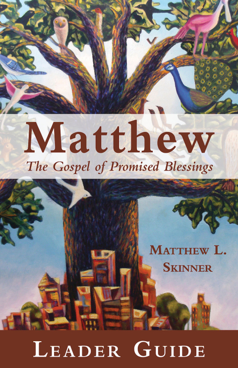 Cover image for book Matthew Leader Guide