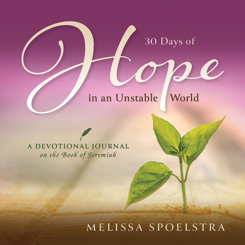 Cover image for book 30 Days of Hope in an Unstable World