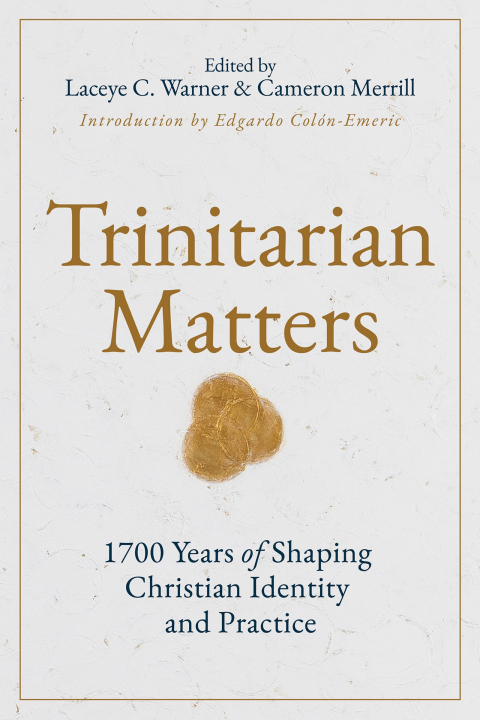 Cover image for book Trinitarian Matters