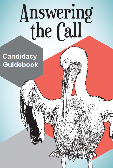 Cover image for book Answering the Call