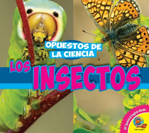 Cover image for book Los insectos