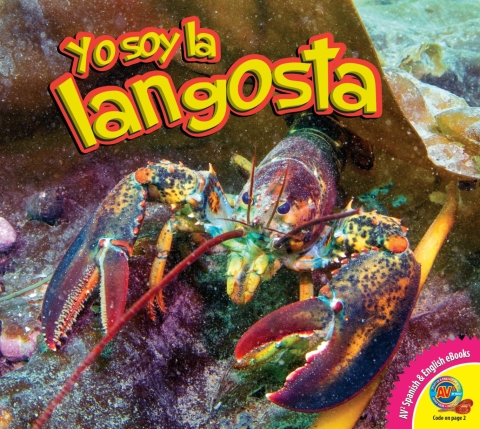 Cover image for book La langosta