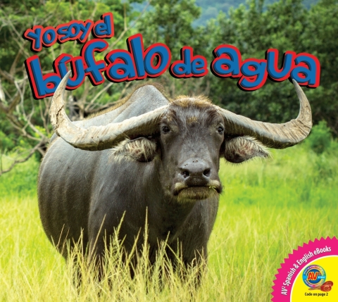 Cover image for book El búfalo de agua