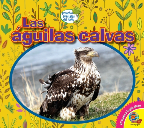 Cover image for book Las águilas calvas