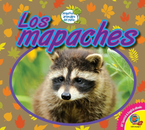 Cover image for book Los mapaches