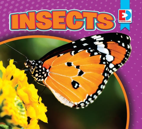 Cover image for book Insects