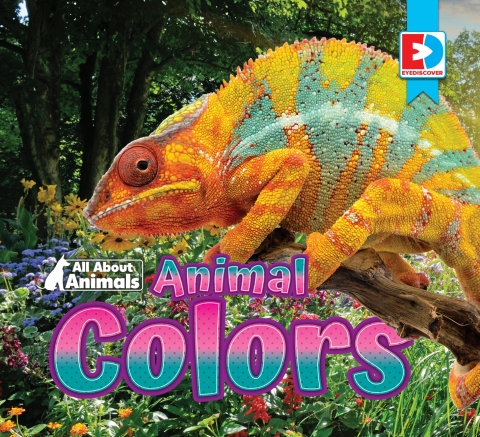 Cover image for book All About Animals - Animal Colors