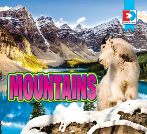 Cover image for book Mountains