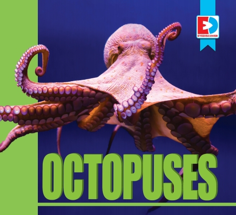 Cover image for book Octopuses