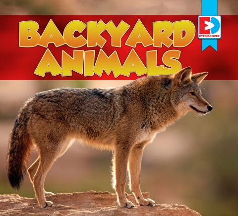 Cover image for book Backyard Animals