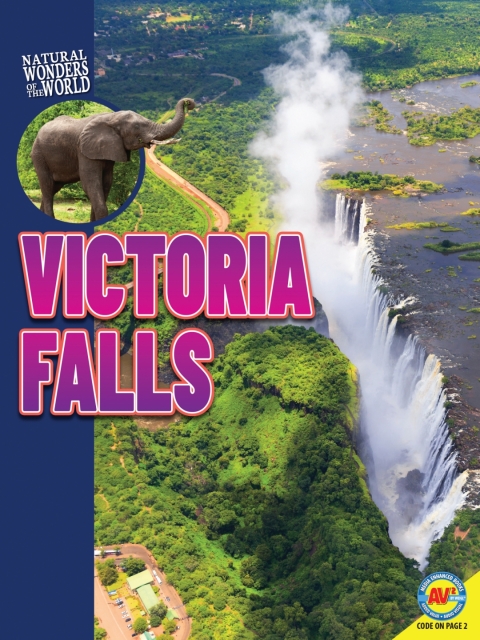 Cover image for book Victoria Falls