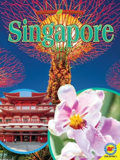 Cover image for book Singapore