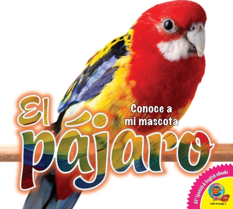 Cover image for book El pájaro